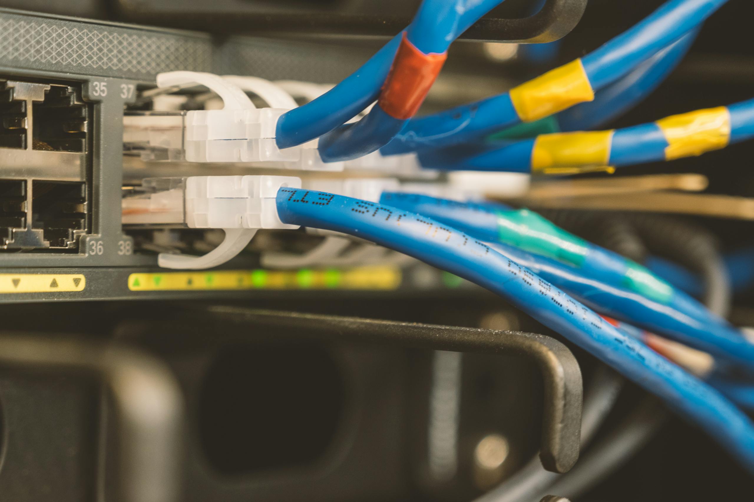 Wired networking hardware and switch configuration